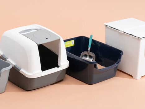 10 Best Litter Boxes