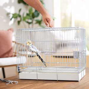 Top 10 Best Bird Cages of 2025