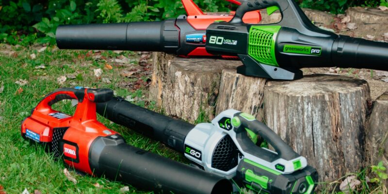 Top 10 Best Leaf Blowers 2026
