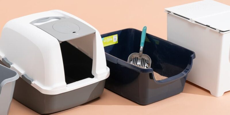 Top 10 Best Litter Boxes 2026