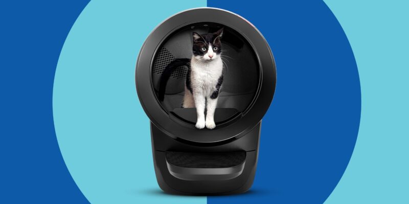 Top 10 Best Litter Robots 2026