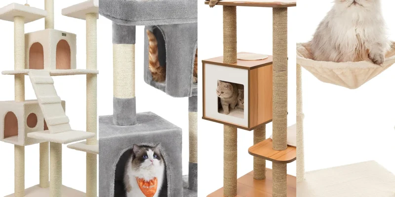 Top 10 Best Cat Trees of 2026